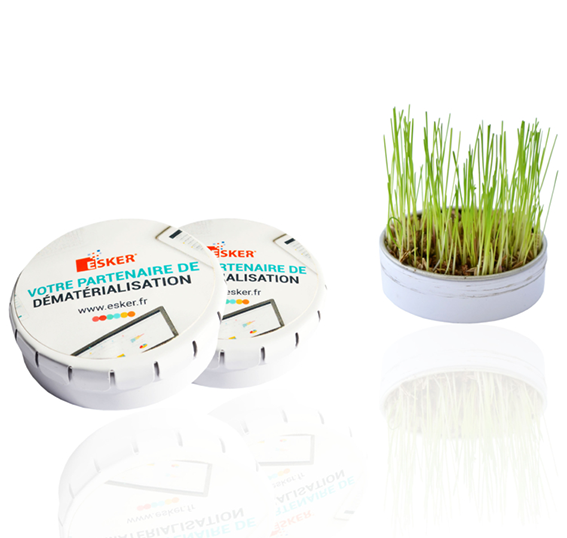 plante publicitaire goodie plantes personnalisables objet publicitaire promotionnel