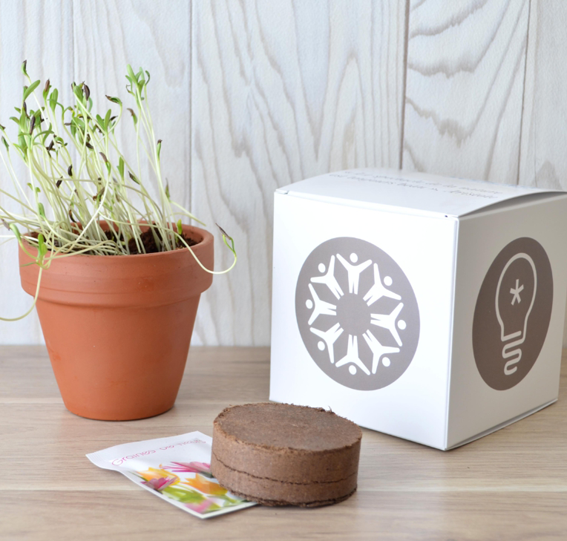 plante publicitaire goodie plantes personnalisables objet publicitaire promotionnel