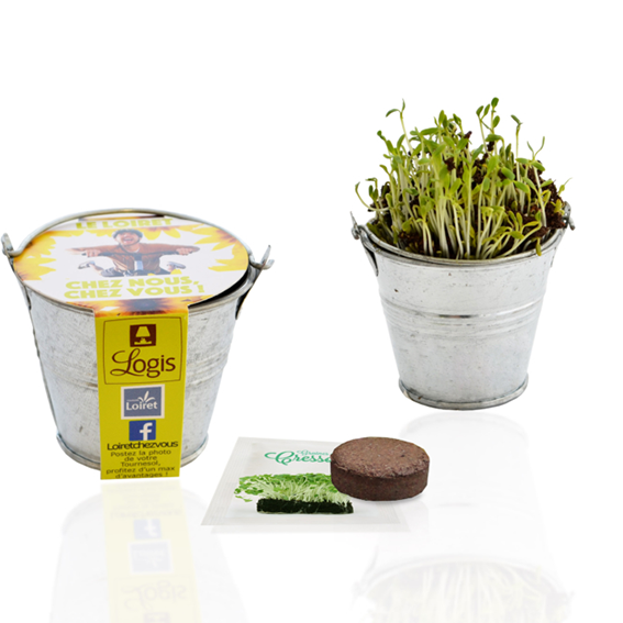 plante publicitaire goodie plantes personnalisables objet publicitaire promotionnel