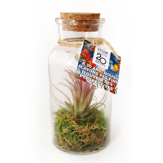 Plante publicitaire personnalisable goodie plantes personnalisables objet promotionnel