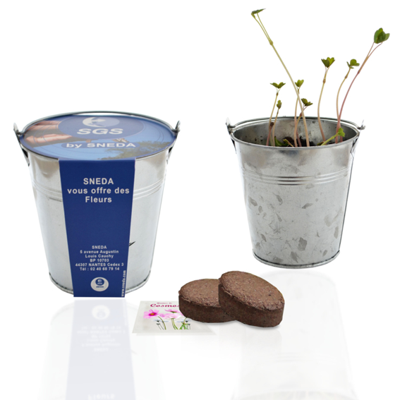 plante publicitaire goodie plantes personnalisables objet publicitaire promotionnel