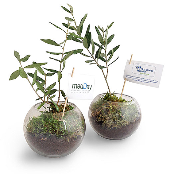 Plant d’arbres publicitaire personnalisé goodie plantes personnalisables objet promotionnel