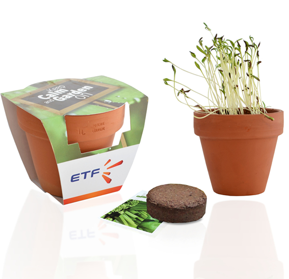 plante publicitaire goodie plantes personnalisables objet publicitaire promotionnel