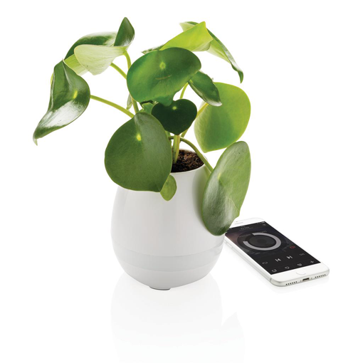 Plante publicitaire personnalisable