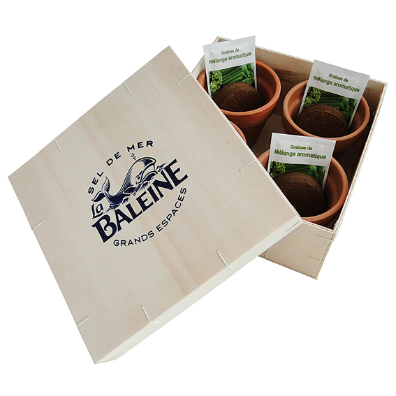 Plante publicitaire personnalisable goodie plantes personnalisables objet promotionnel