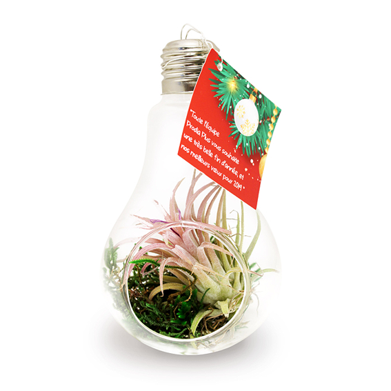 plante publicitaire goodie plantes personnalisables objet promotionnel