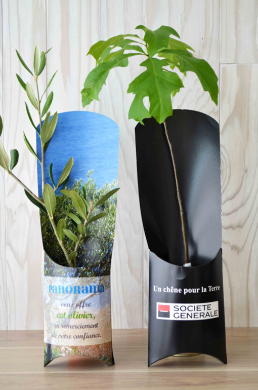 Plante publicitaire personnalisable goodie plantes personnalisables objet promotionnel