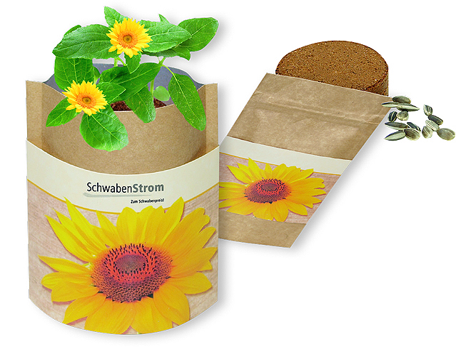 Kit de plantation dans pochon kraft personnalisable