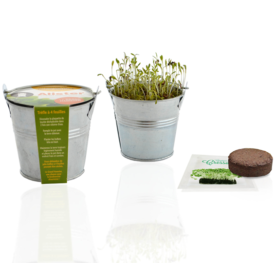 plante publicitaire goodie plantes personnalisables objet publicitaire promotionnel