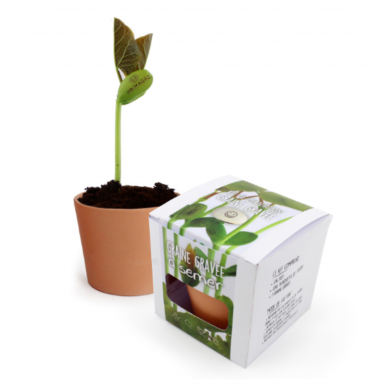 Plante publicitaire personnalisée Goodies Kit de plantation publicitaire Objet publicitaire Lyon article promotionnel Lyon goodies cadeaux d’entreprise France