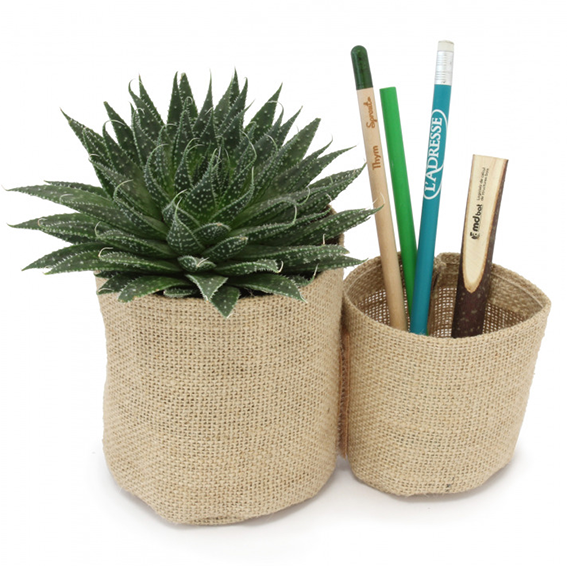 kit de plantation terre cuite 10cm 33